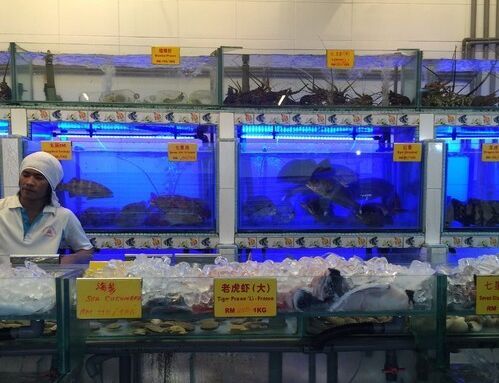 沙巴人均消费_土肥圆矮挫穷沙巴鲍照