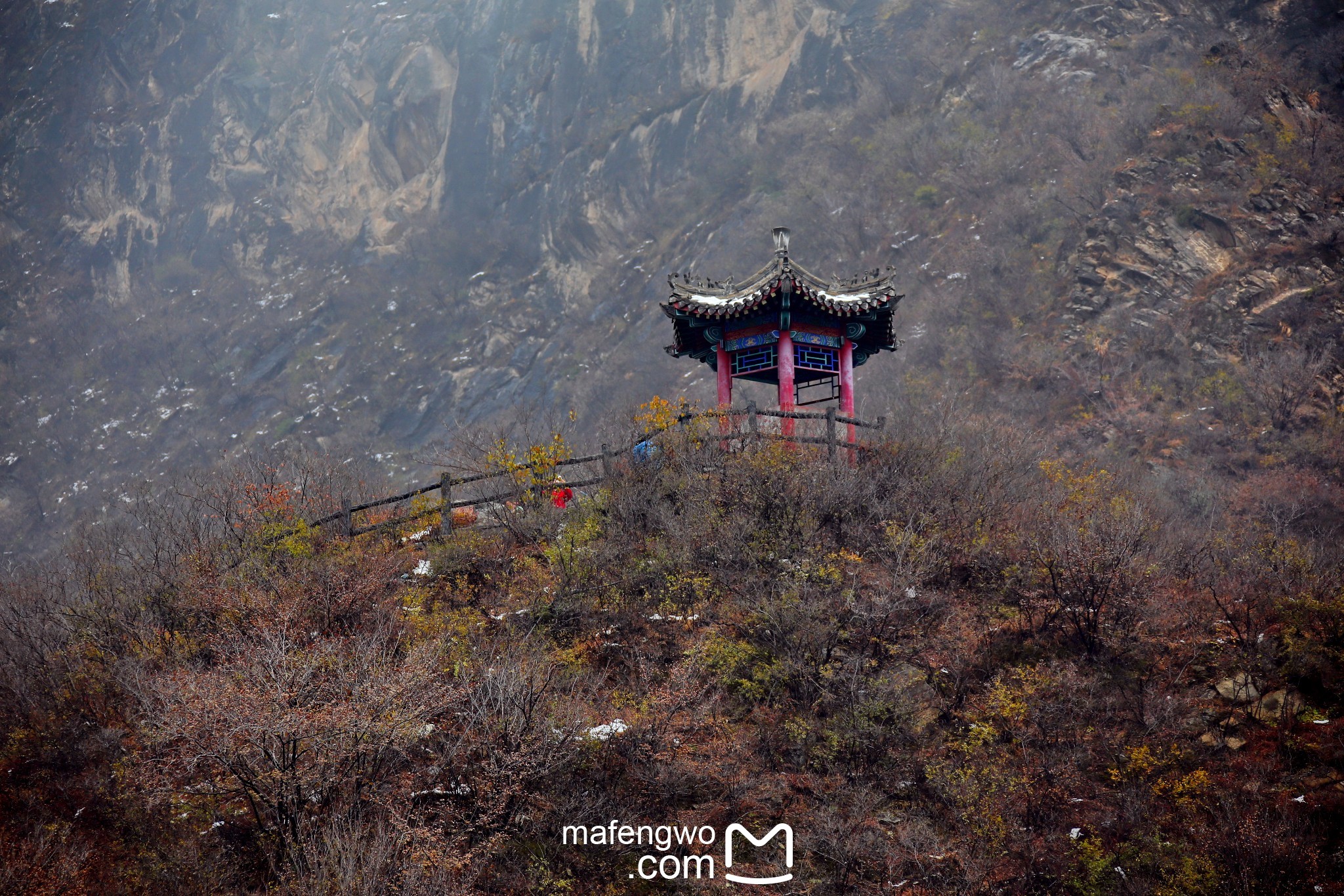 山姓全国有多少人口_山东出现肺炎疫情分布图 全国肺炎疫情最新分布图 山东