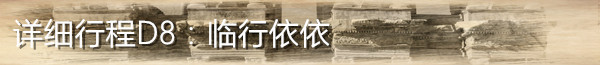 D8 再见 D8 再见