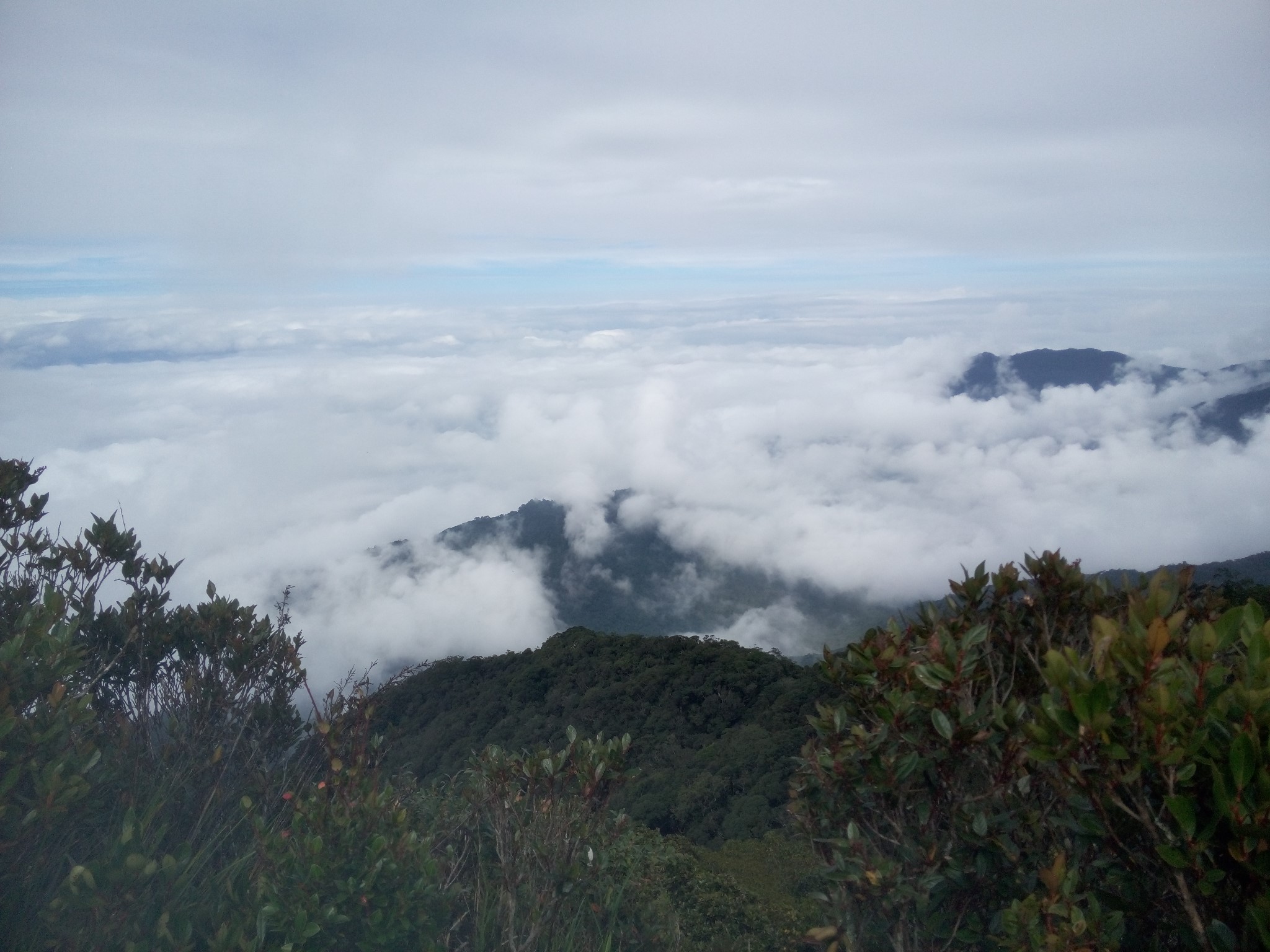 五指山人口_五指山的人口