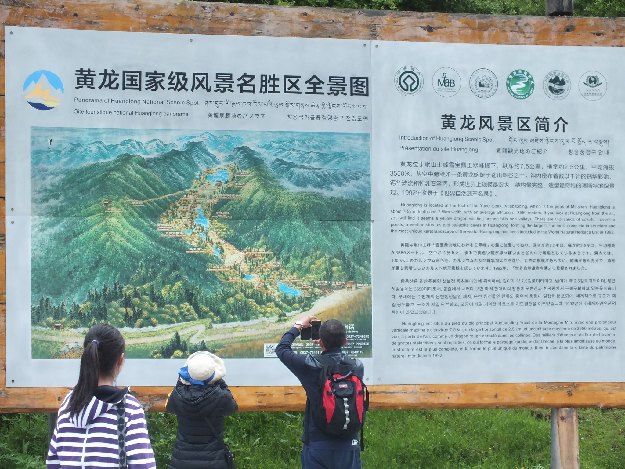 旅游人均回归_香港回归