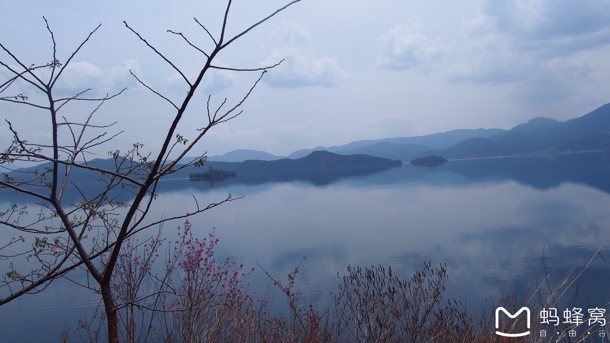 湖光料村总人口_寿县湖光村规划图