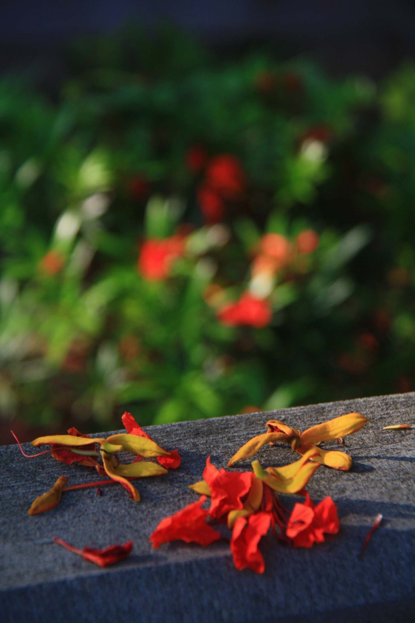 wKgBs1dFSq-AW0EHAARGeHmpZY804.jpeg?imageView2%2F2%2Fw%2F600%2Fh%2F600%2Fq%2F90