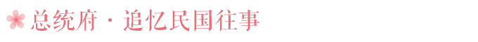 总统府:追忆民国往事 总统府:追忆民国往事