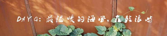 DAY 4:最温暖的海风,在鼓浪屿 DAY 4:最温暖的海风,在鼓浪屿