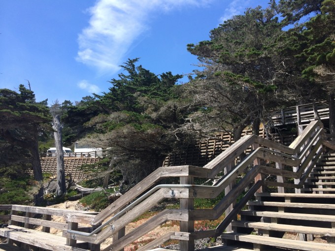 2016 美利坚就是大! -1- 旧金山市区和卡梅尔小