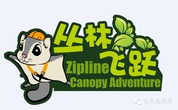 丛林飞跃门票穿越热带雨林西双版纳特色体验